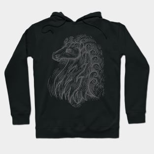 Curly Horse Hoodie